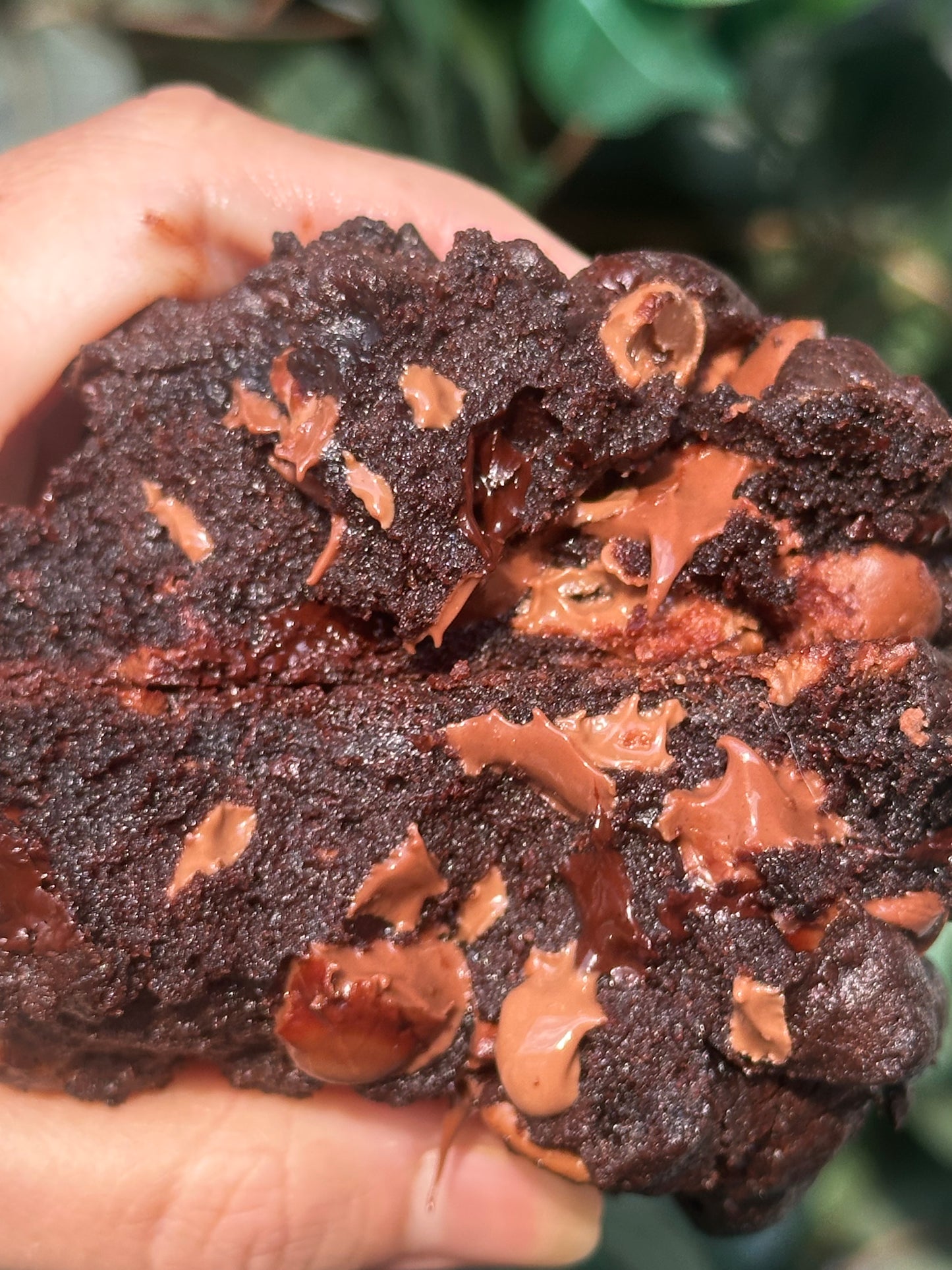 Double chocolate